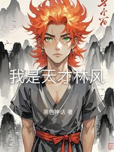 我是天麒